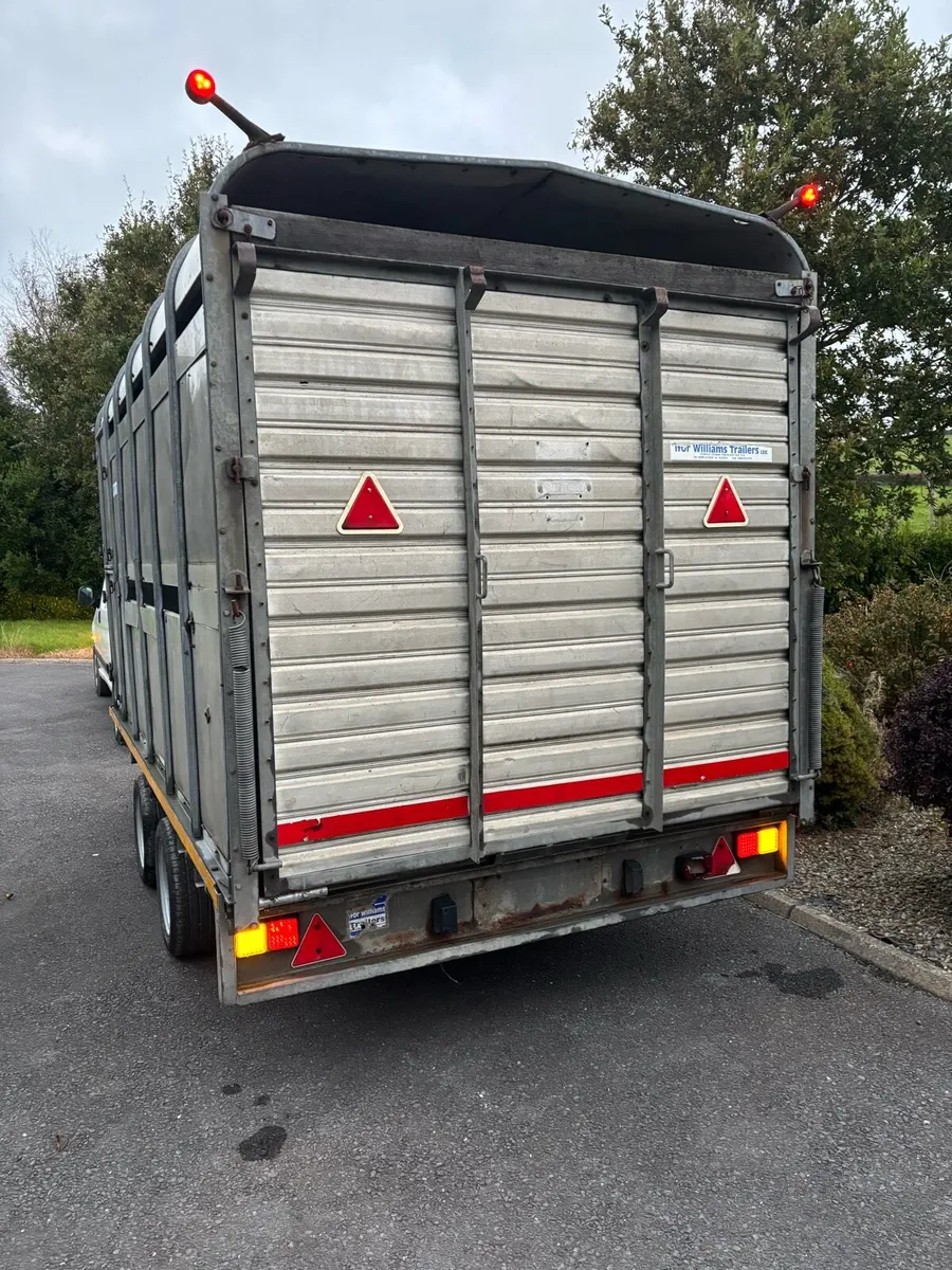 Ifor williams 12x6”6 cattle box - Image 4