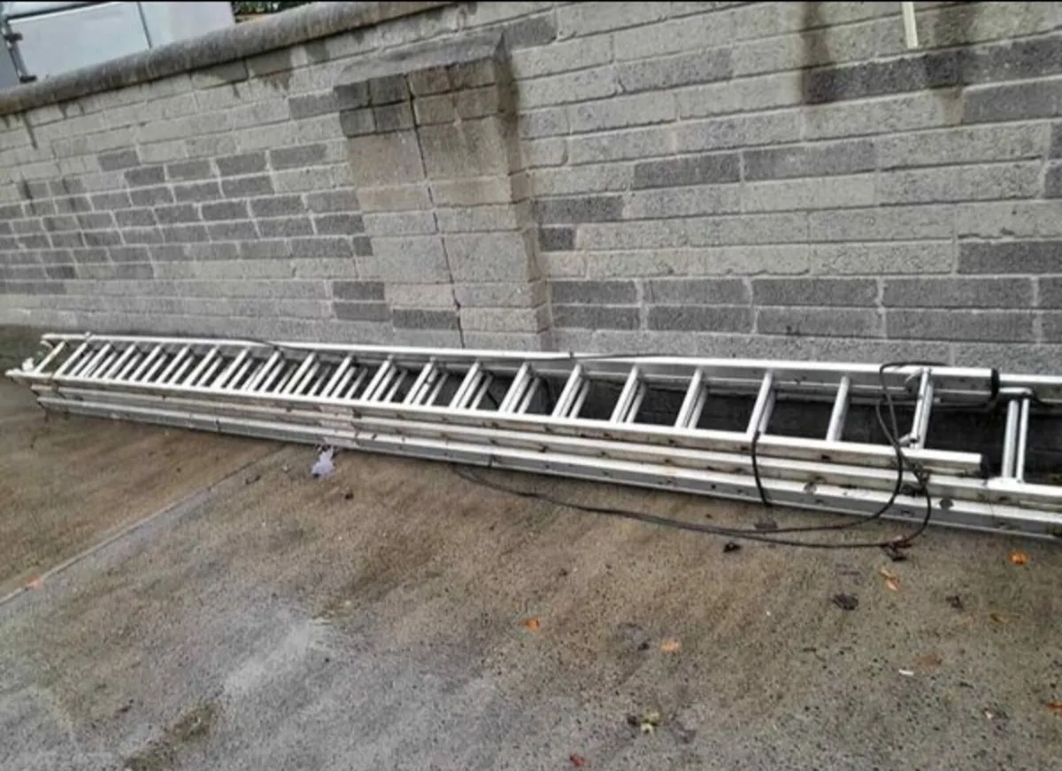 Ladders  3 x21