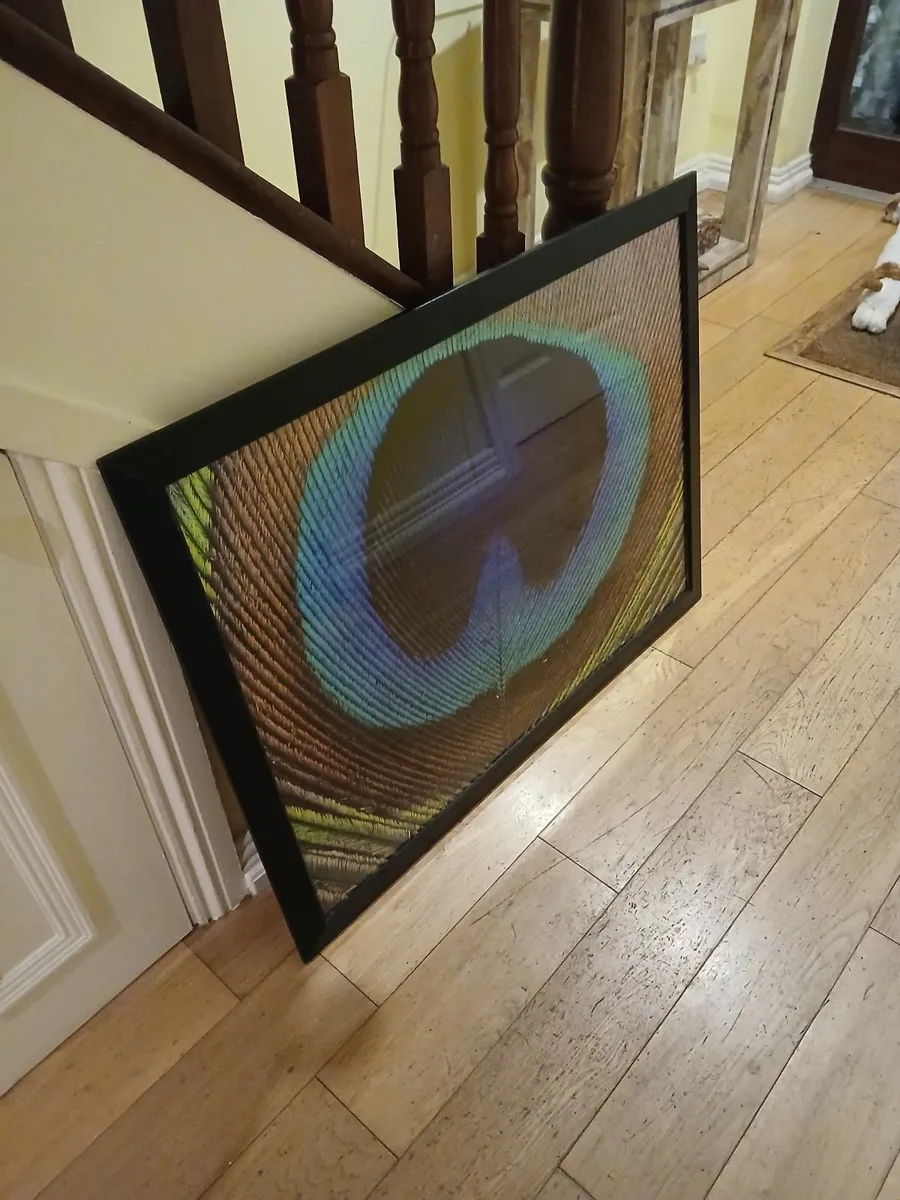 Picture frame x