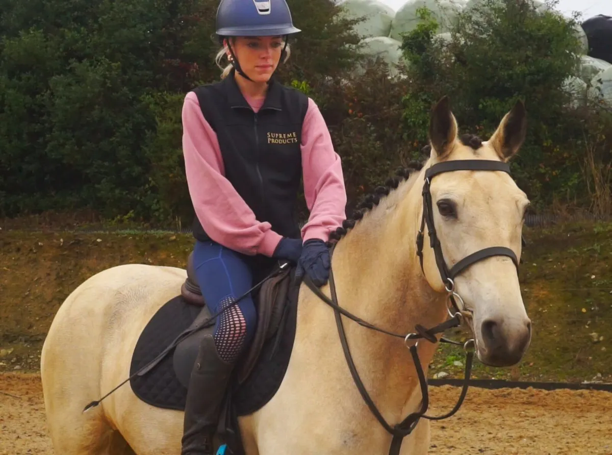🌟 Stunning All-Rounder Pony 🌟 - Image 1
