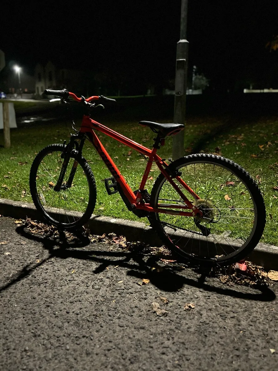 24” team mountain bike - Image 2