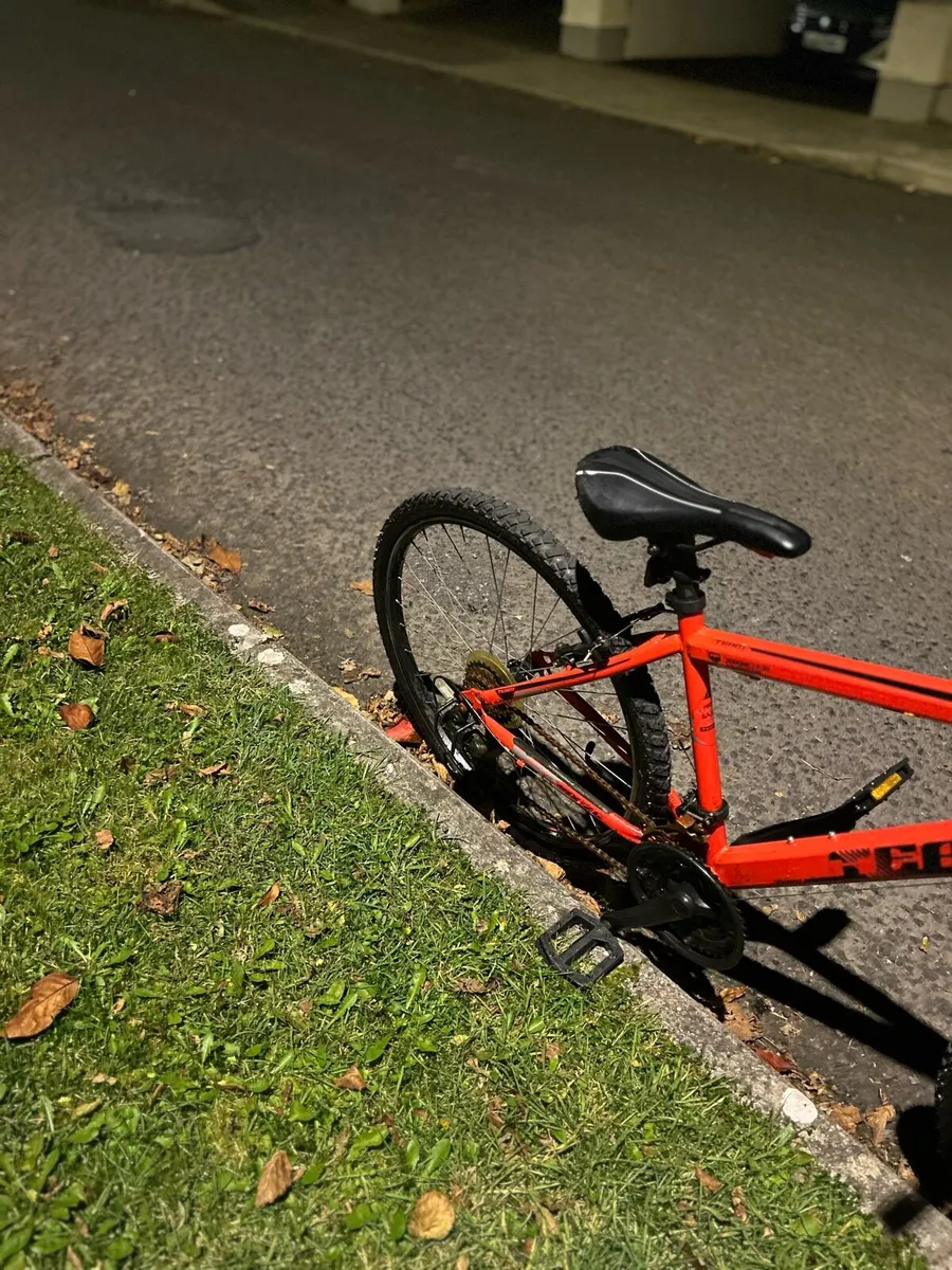 24” team mountain bike - Image 4