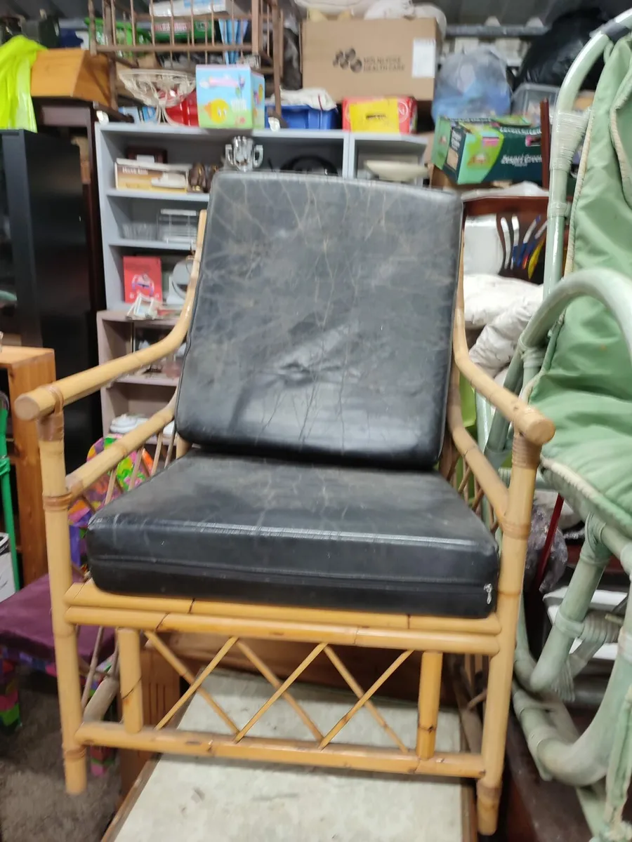 Cane Leather Chair - Image 1