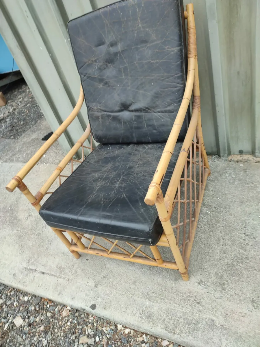 Cane Leather Chair - Image 4