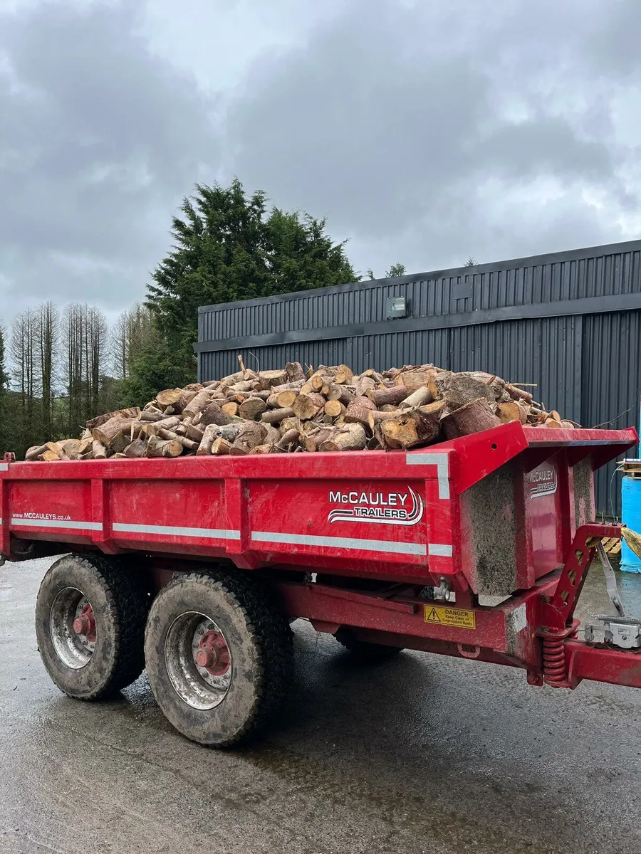 Softwood timber - Image 1
