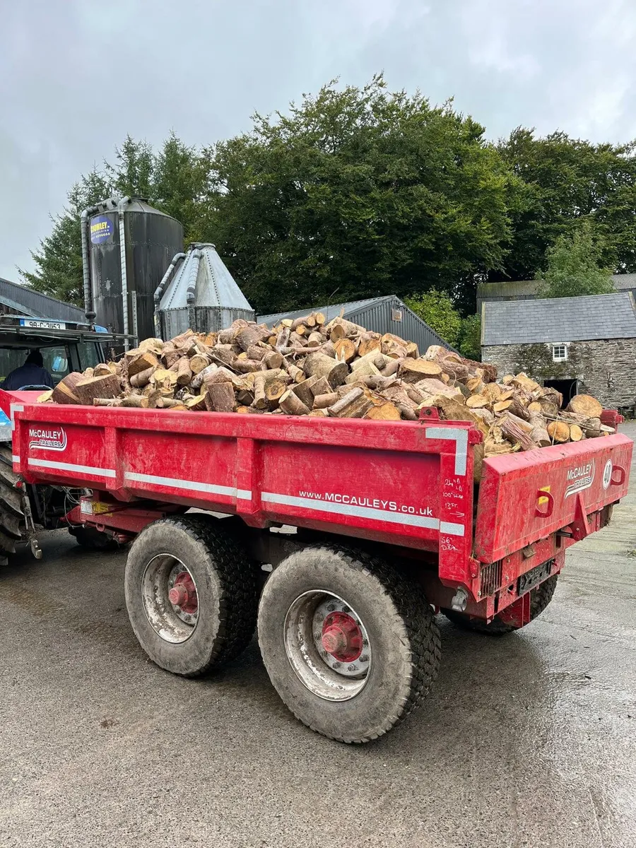 Softwood timber - Image 2