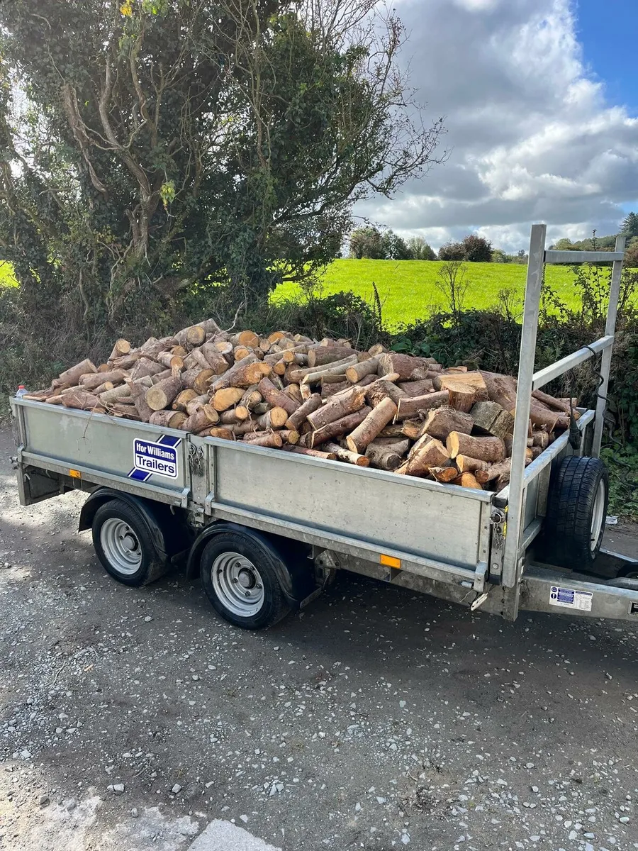 Softwood timber - Image 3