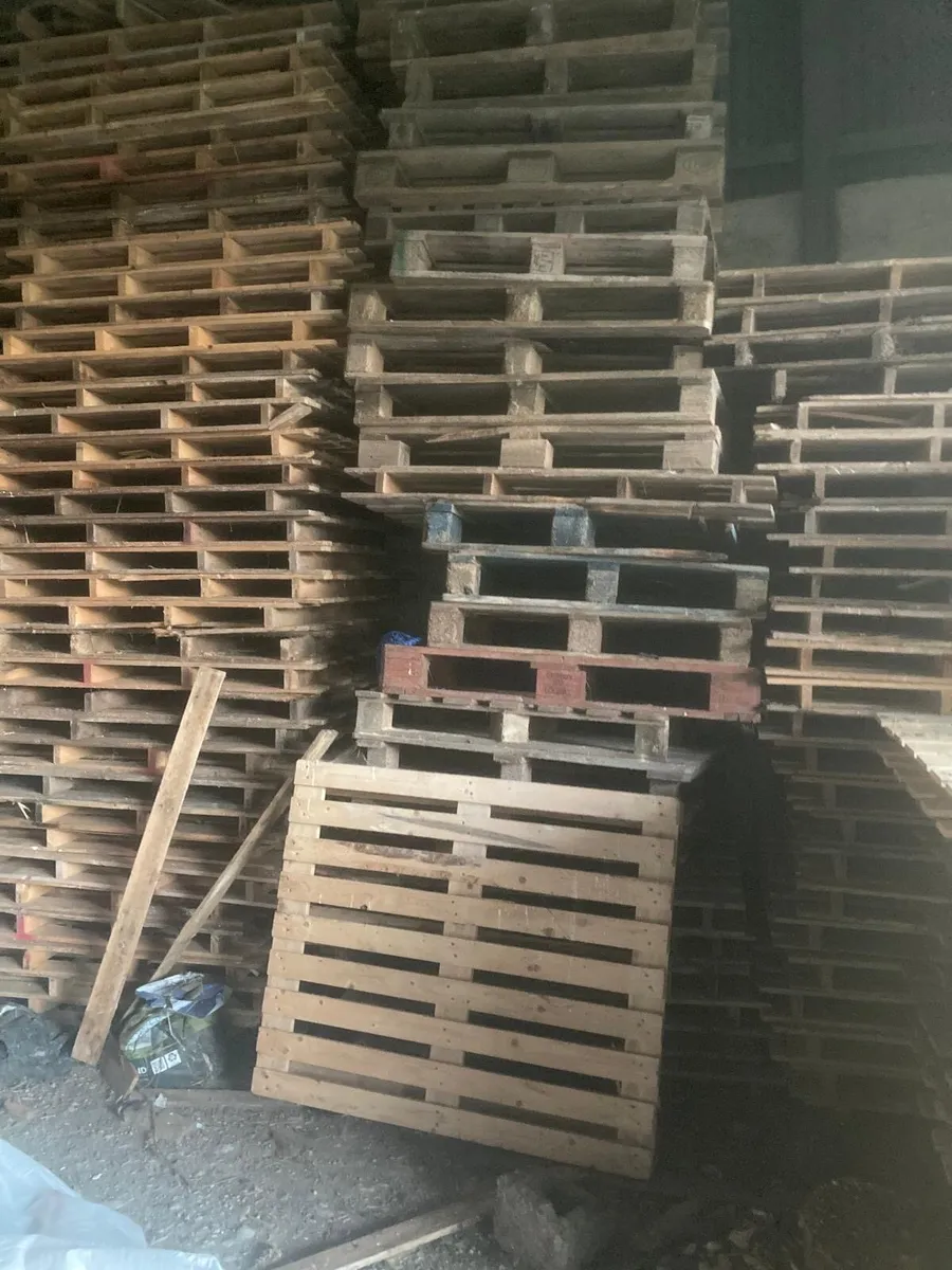 🔥 Wooden Pallets – Stored Indoors 🔥 - Image 1