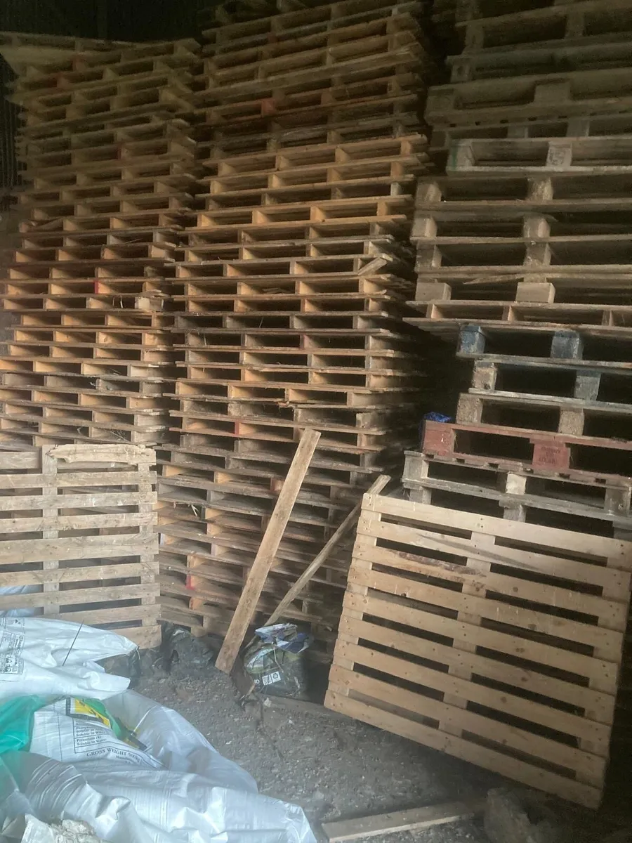 🔥 Wooden Pallets – Stored Indoors 🔥 - Image 3