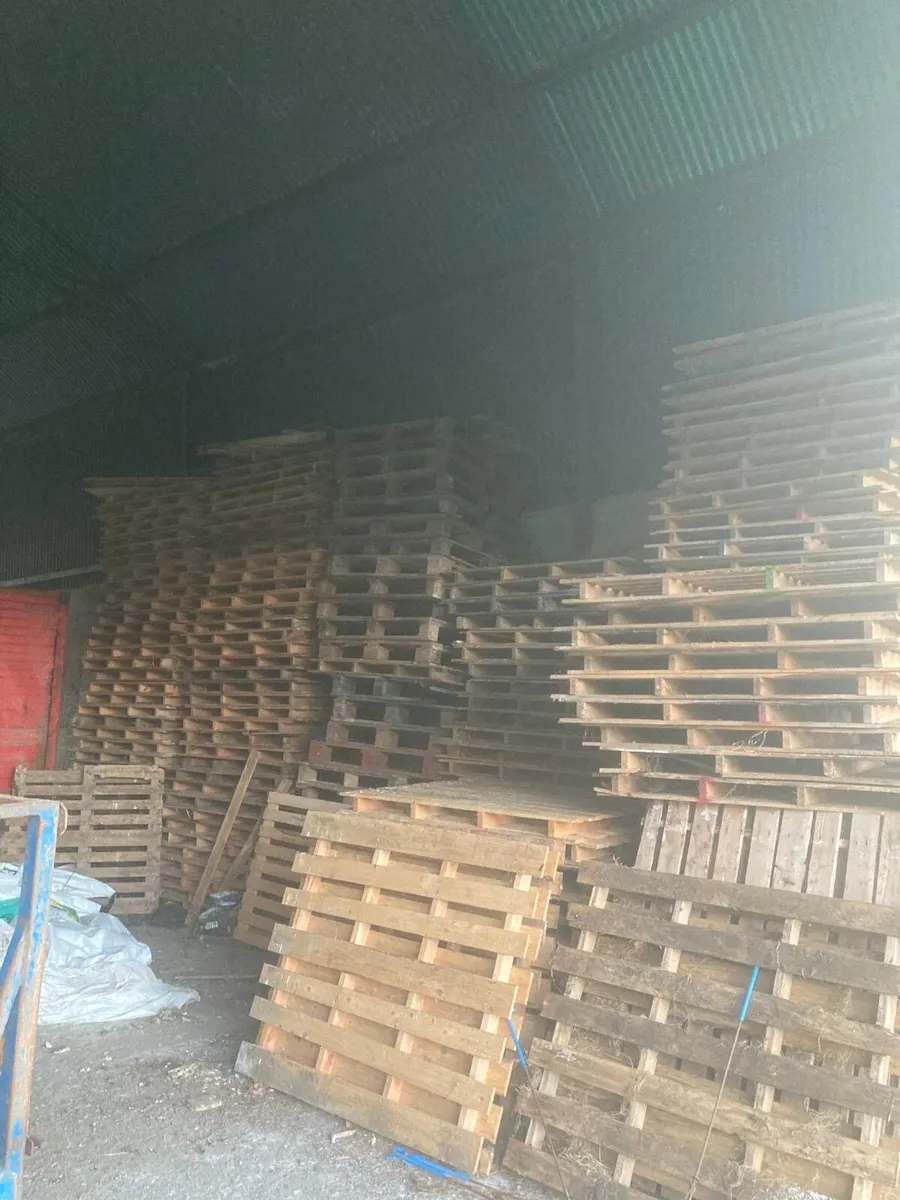 🔥 Wooden Pallets – Stored Indoors 🔥 - Image 4