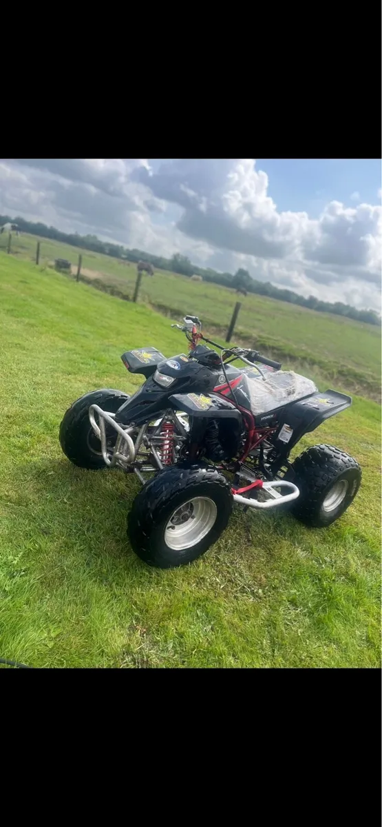 Quad - Image 2