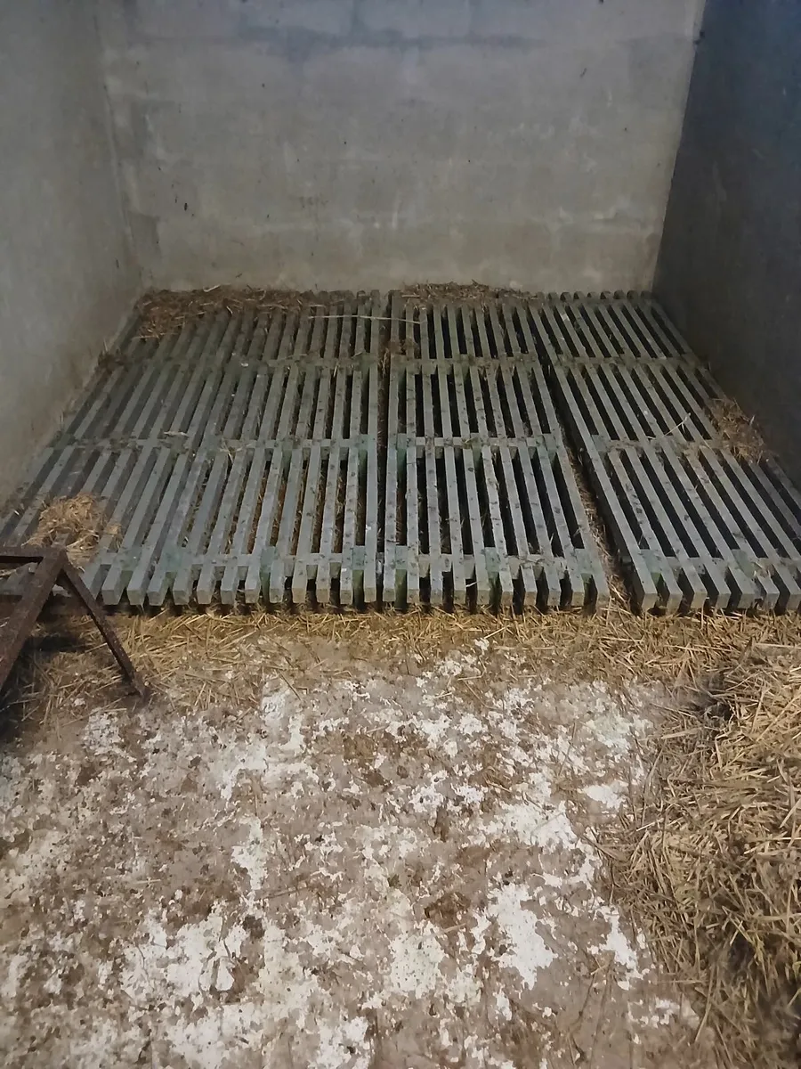 Calf slats - Image 1