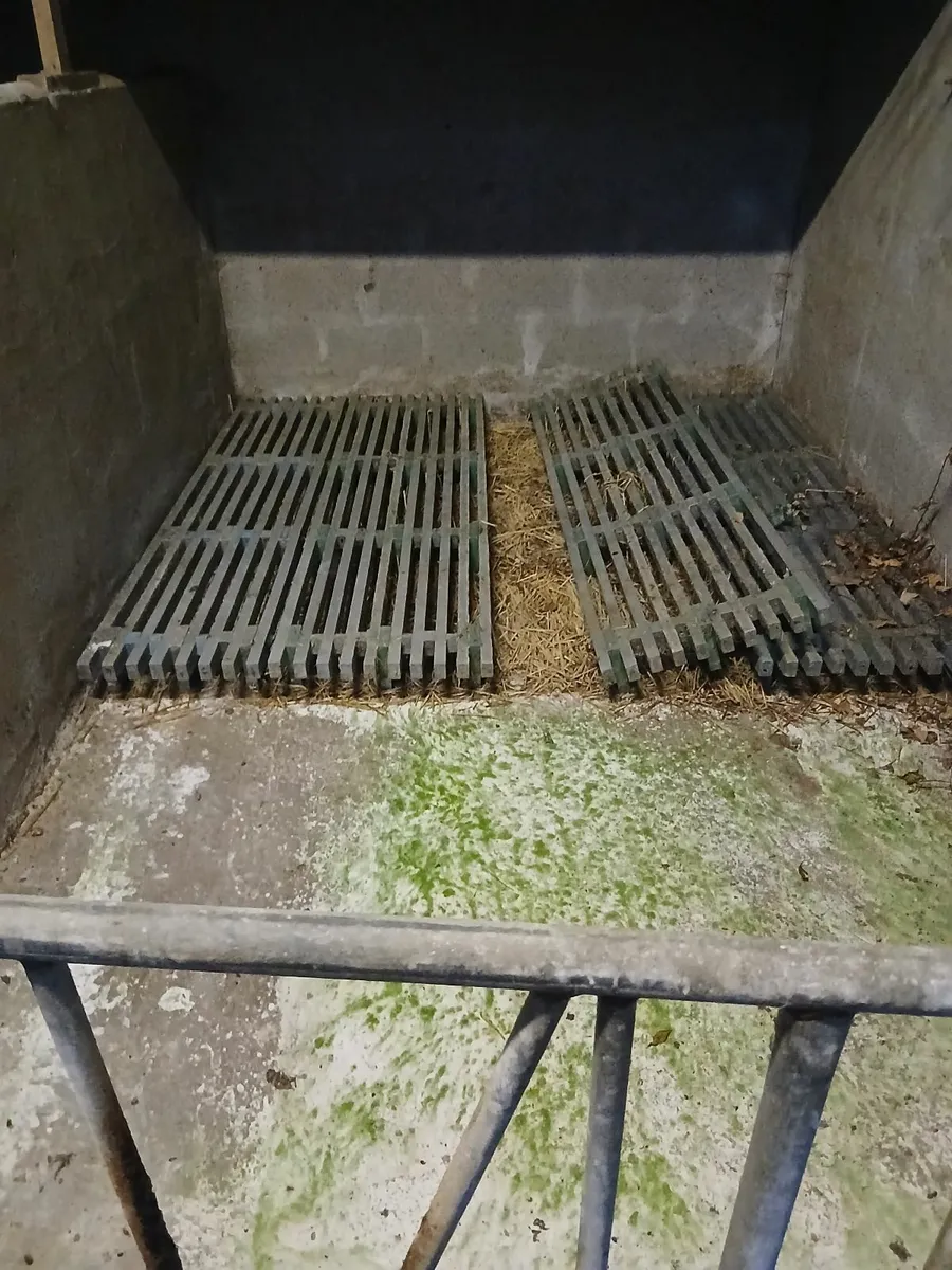 Calf slats - Image 2
