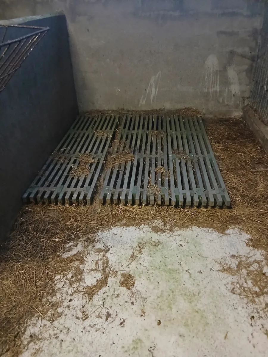 Calf slats - Image 3