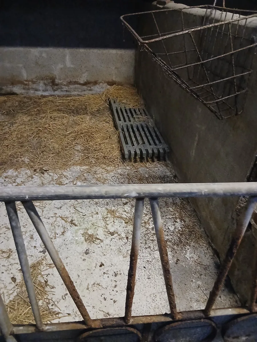 Calf slats - Image 4