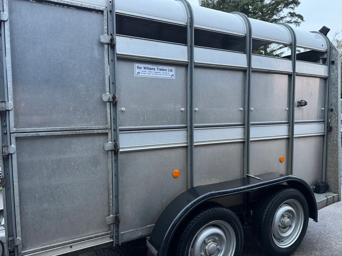 Ifor Williams livestock trailer - Image 2