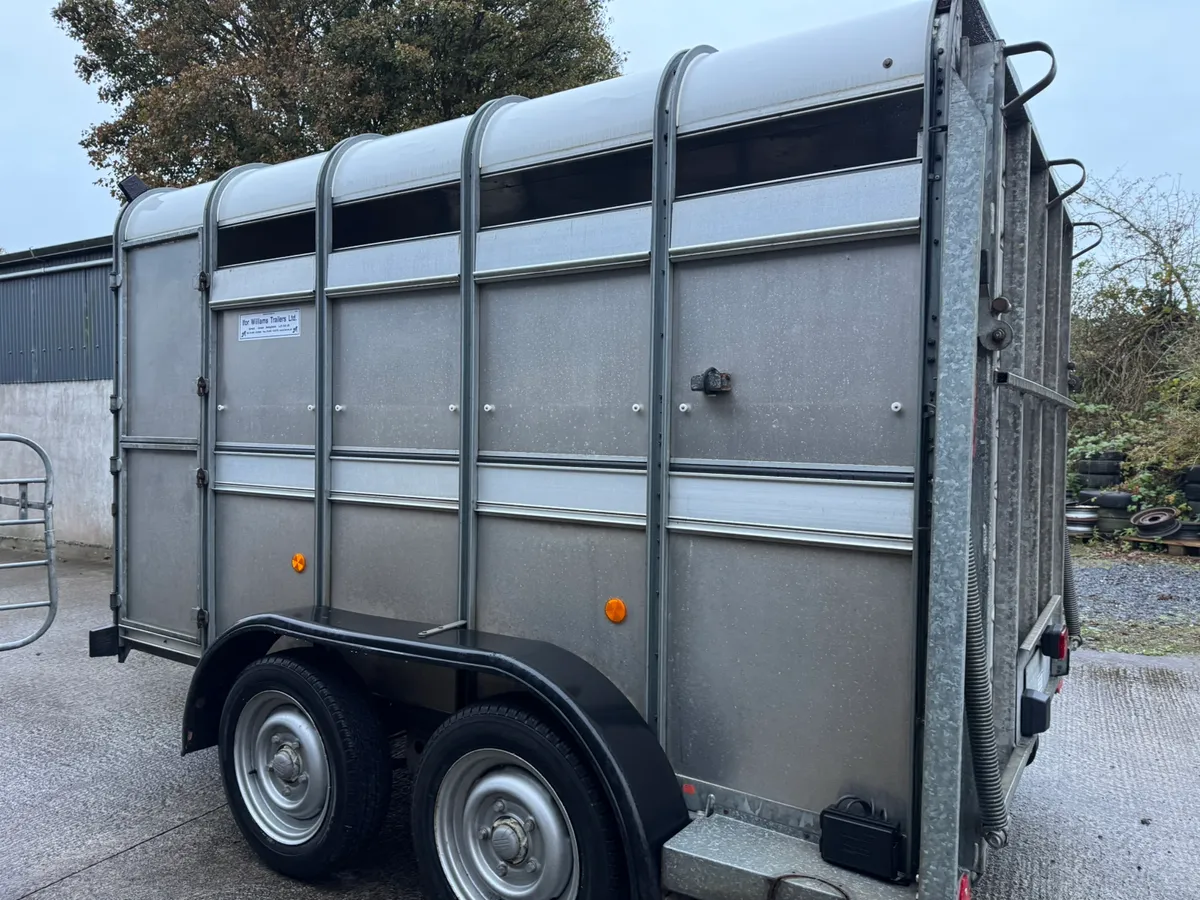 Ifor Williams livestock trailer - Image 3