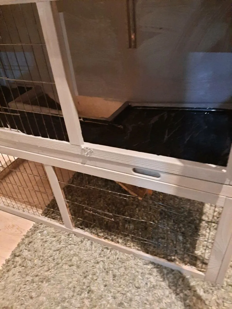 Rabbit hutch - Image 4
