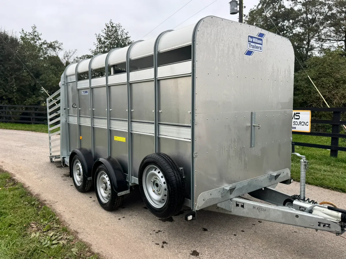 Brand New 12ft Ifor Williams Cattle Trailer***** - Image 2