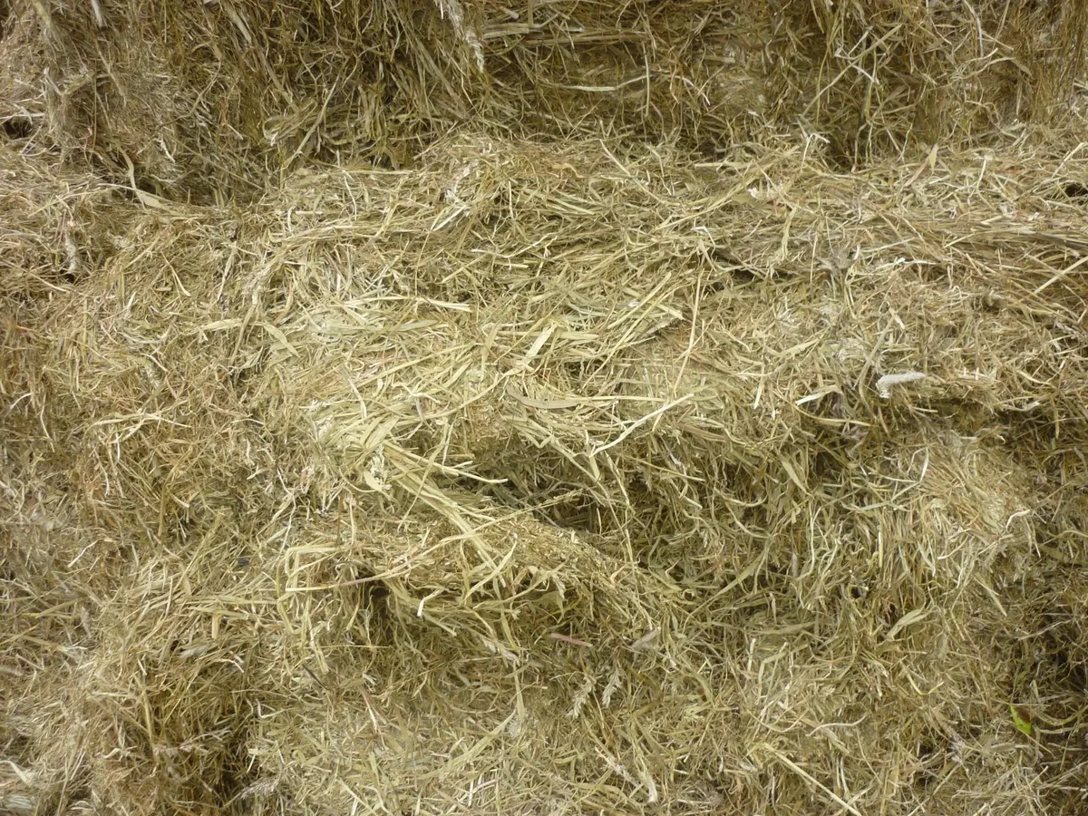 Silage and chopped haylage - Image 1