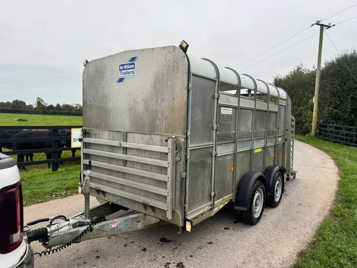 2019 Ifor Williams Twin Axle with Decks BARGAIN - Image 4