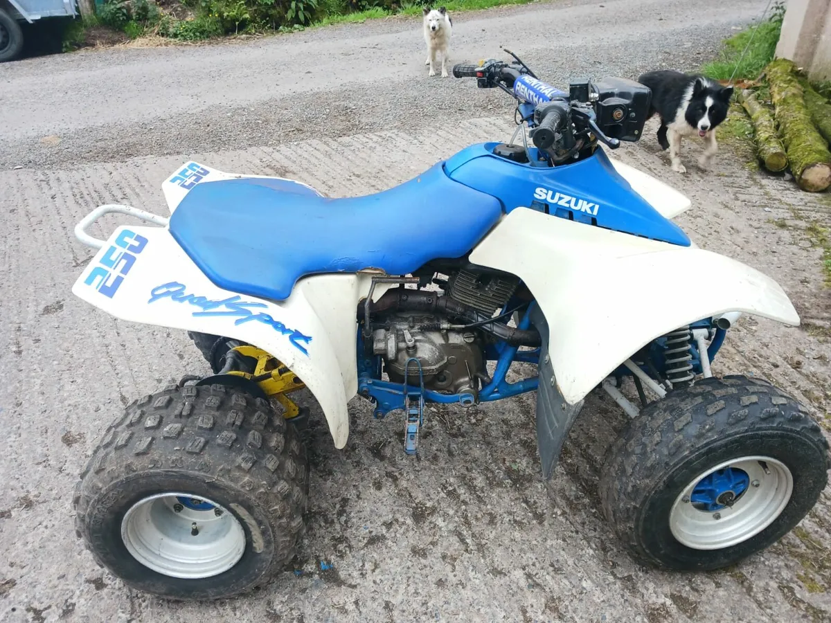 Quad suzuki lt250s - Image 3