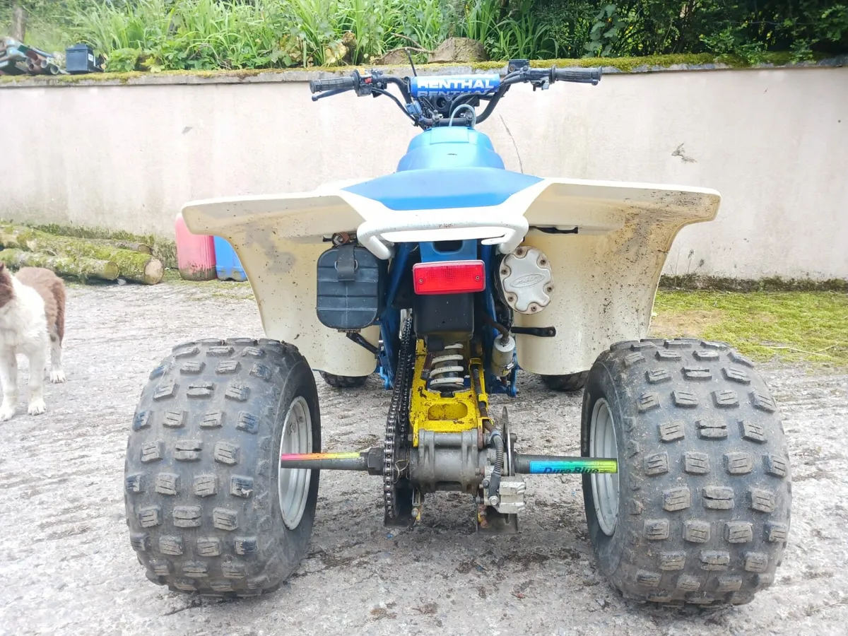 Quad suzuki lt250s - Image 4
