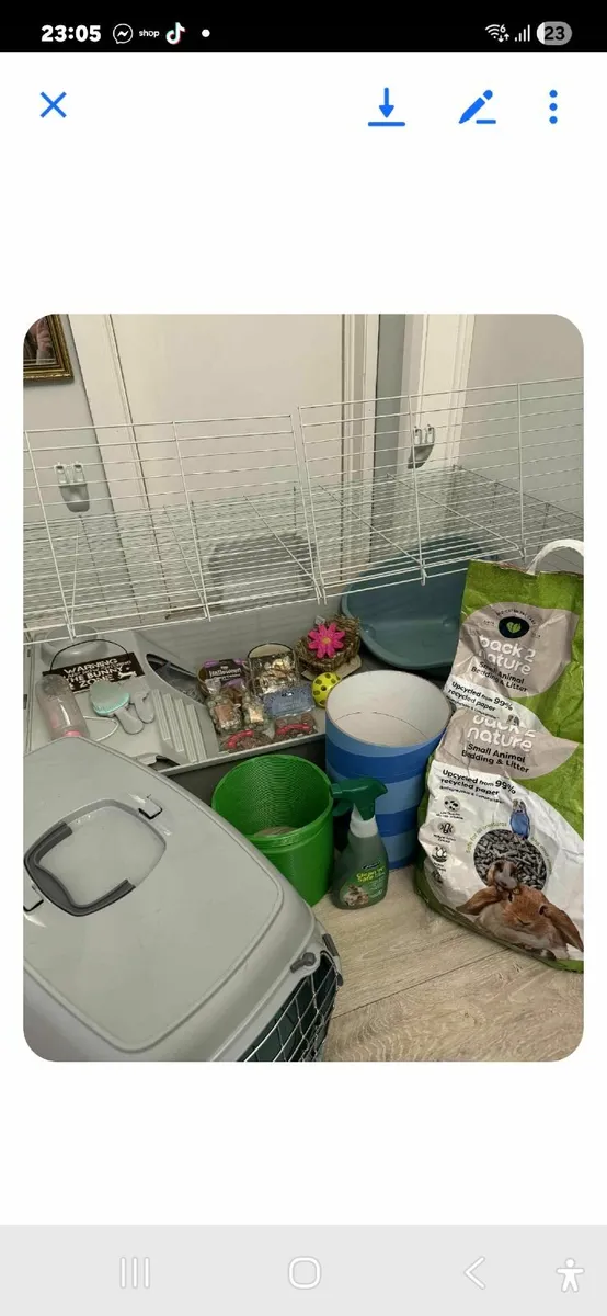 Rabbit starter bundle - Image 1