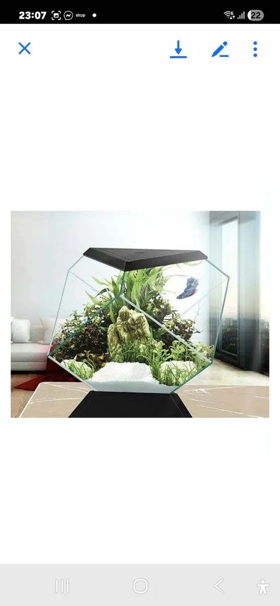 Fish tank - Image 3