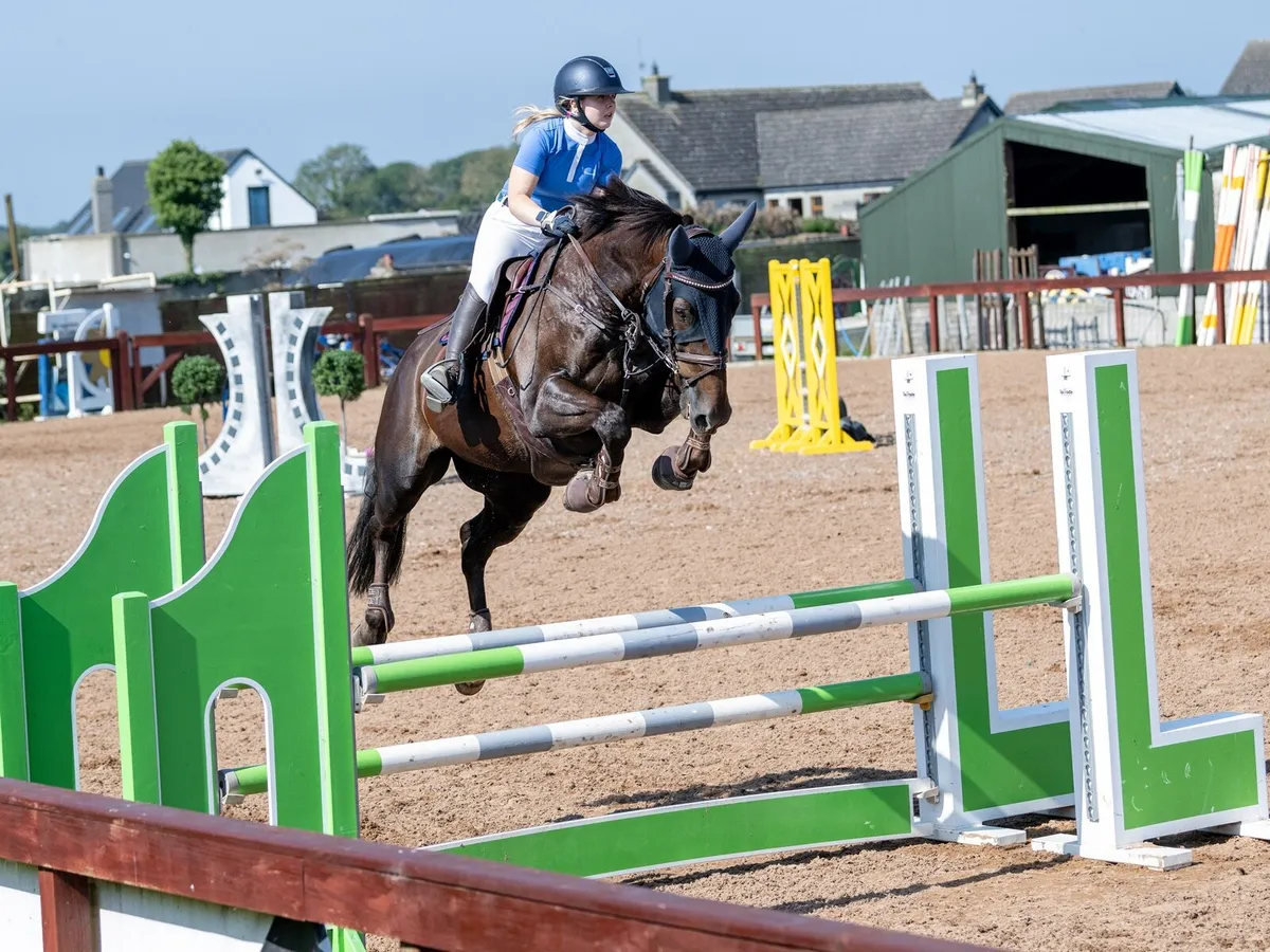 Talented & Genuine Showjumper🌟 - Image 2