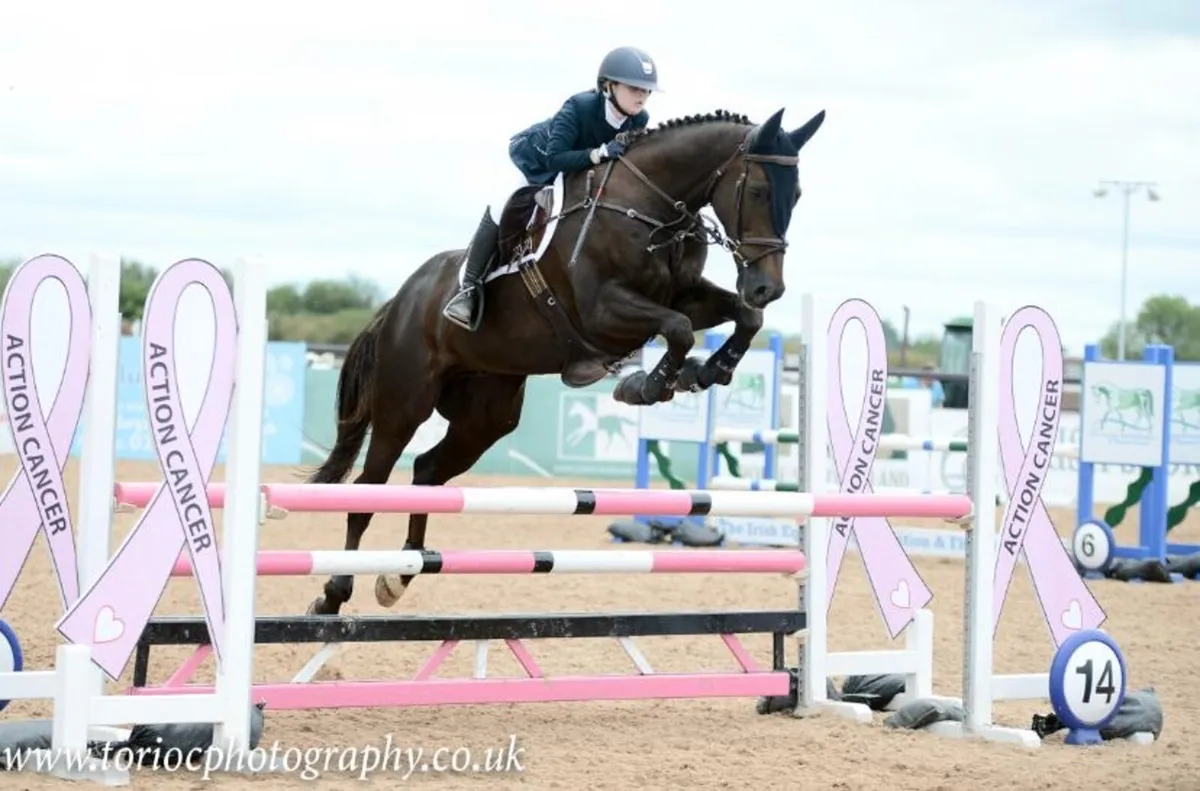 Talented & Genuine Showjumper🌟 - Image 4