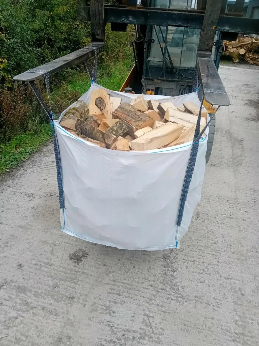 Kiln dried ash firewood - Image 1