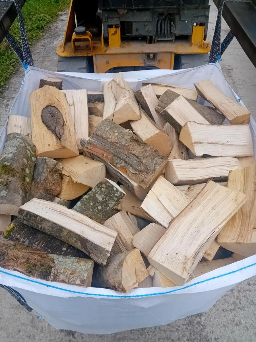 Kiln dried ash firewood - Image 2