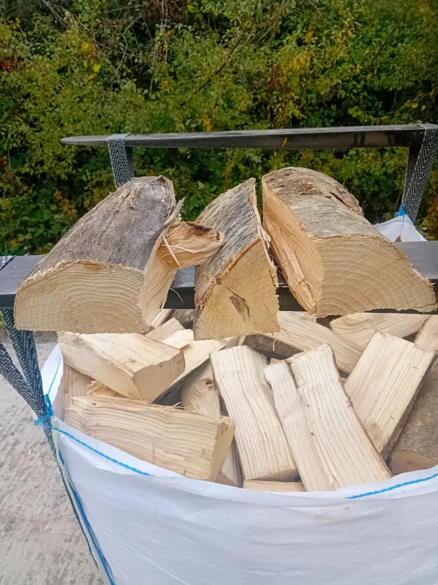 Kiln dried ash firewood - Image 3