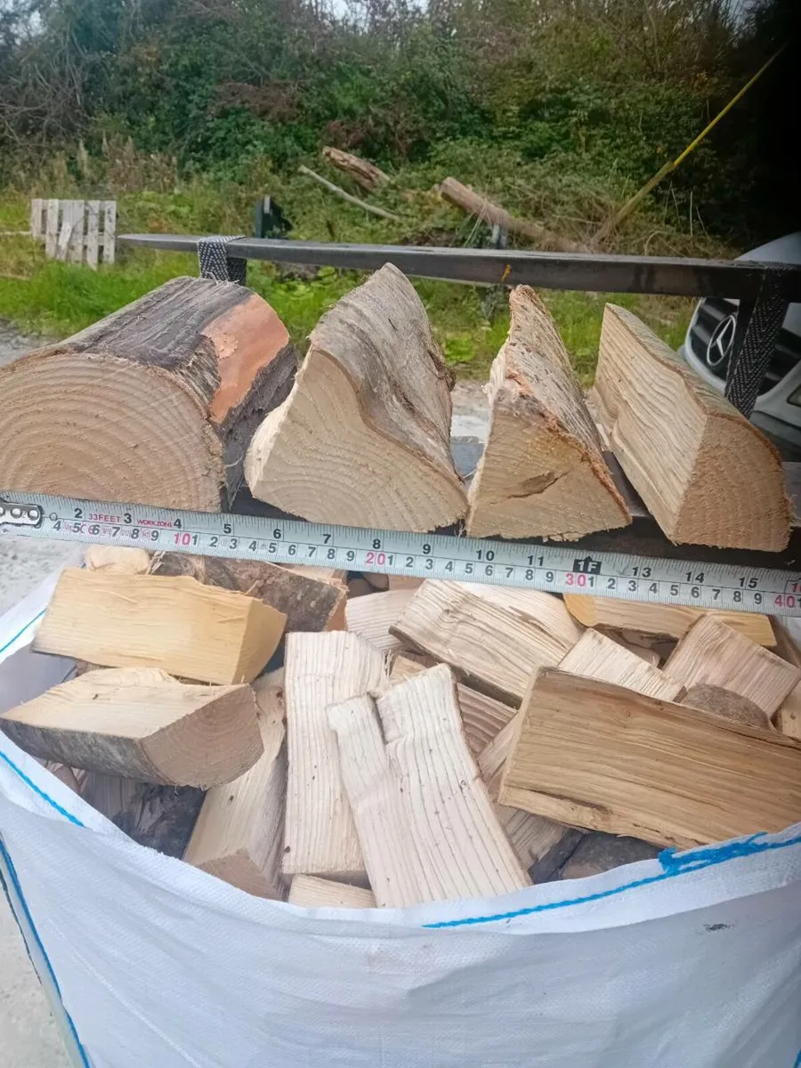 Kiln dried ash firewood - Image 4