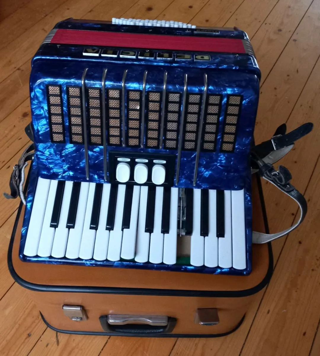 Delicia Junior Accordion II – Blue – 48 Bass + Str - Image 1