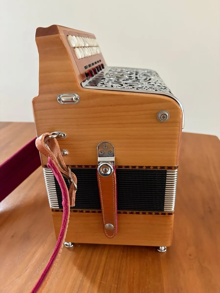 Accordion - Image 2