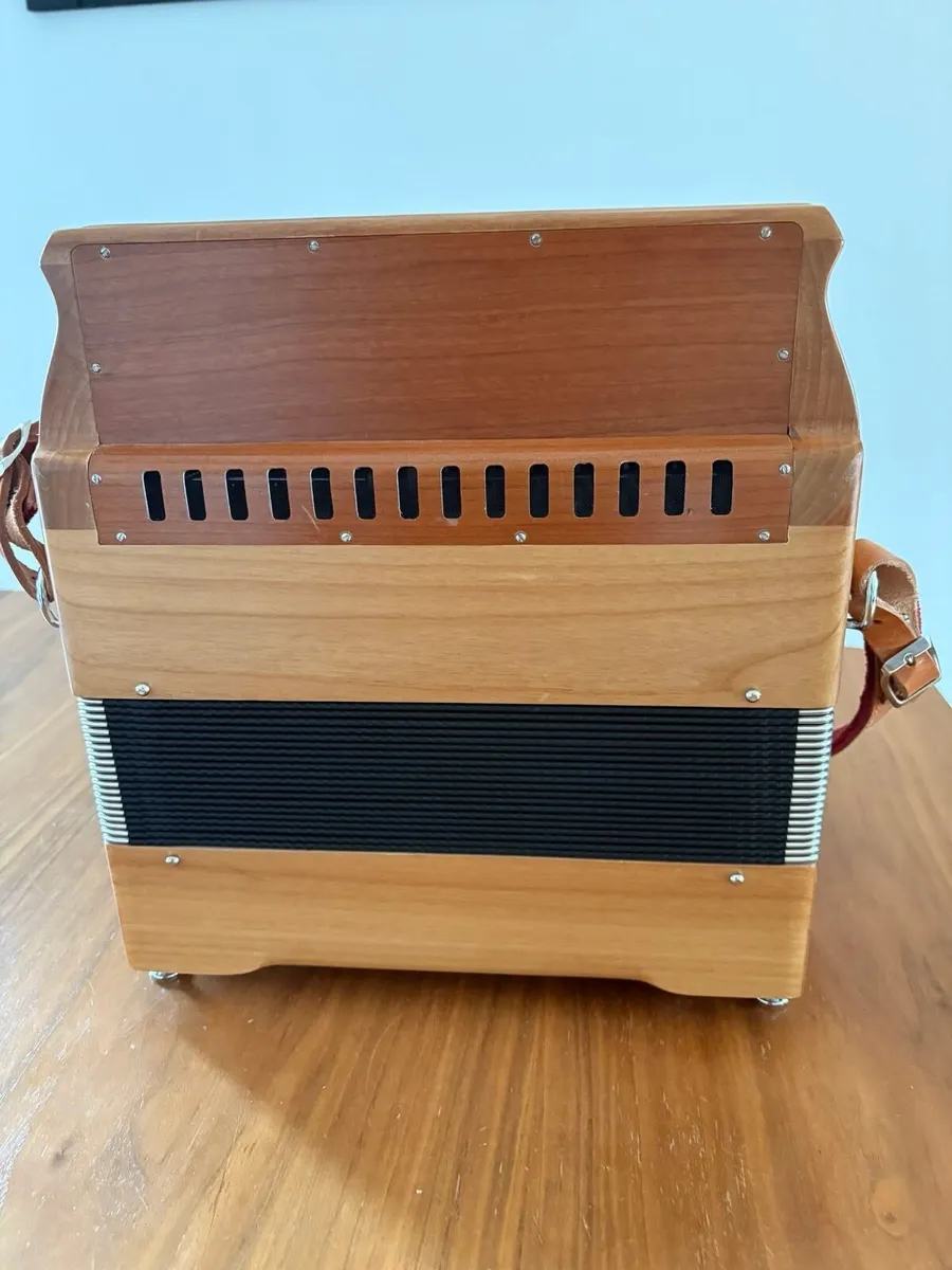 Accordion - Image 3