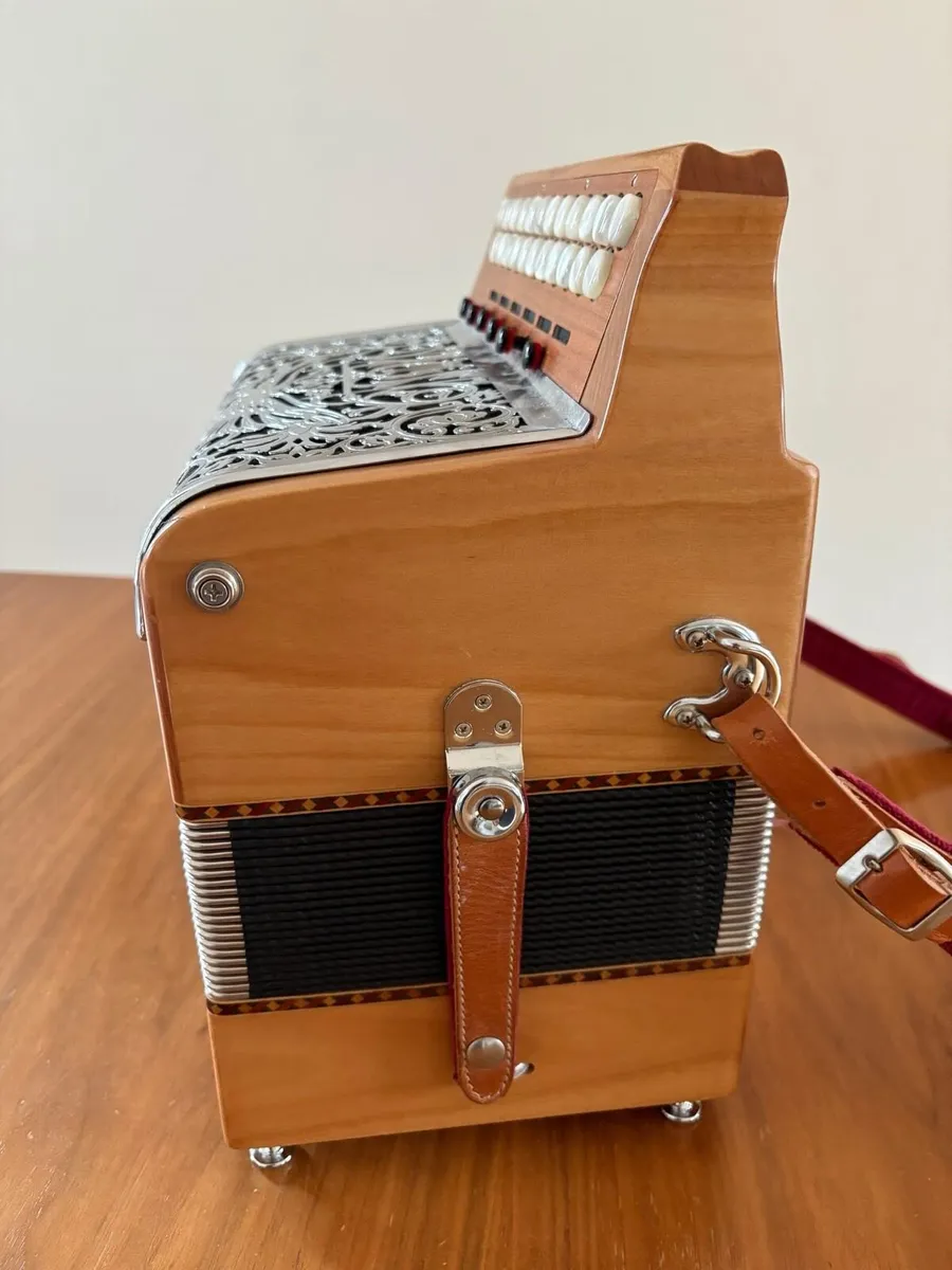 Accordion - Image 4
