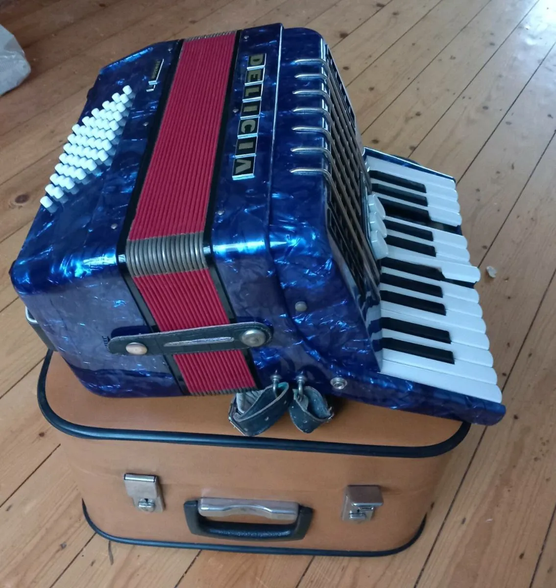 Delicia Junior Accordion II – Blue – 48 Bass + Str - Image 2