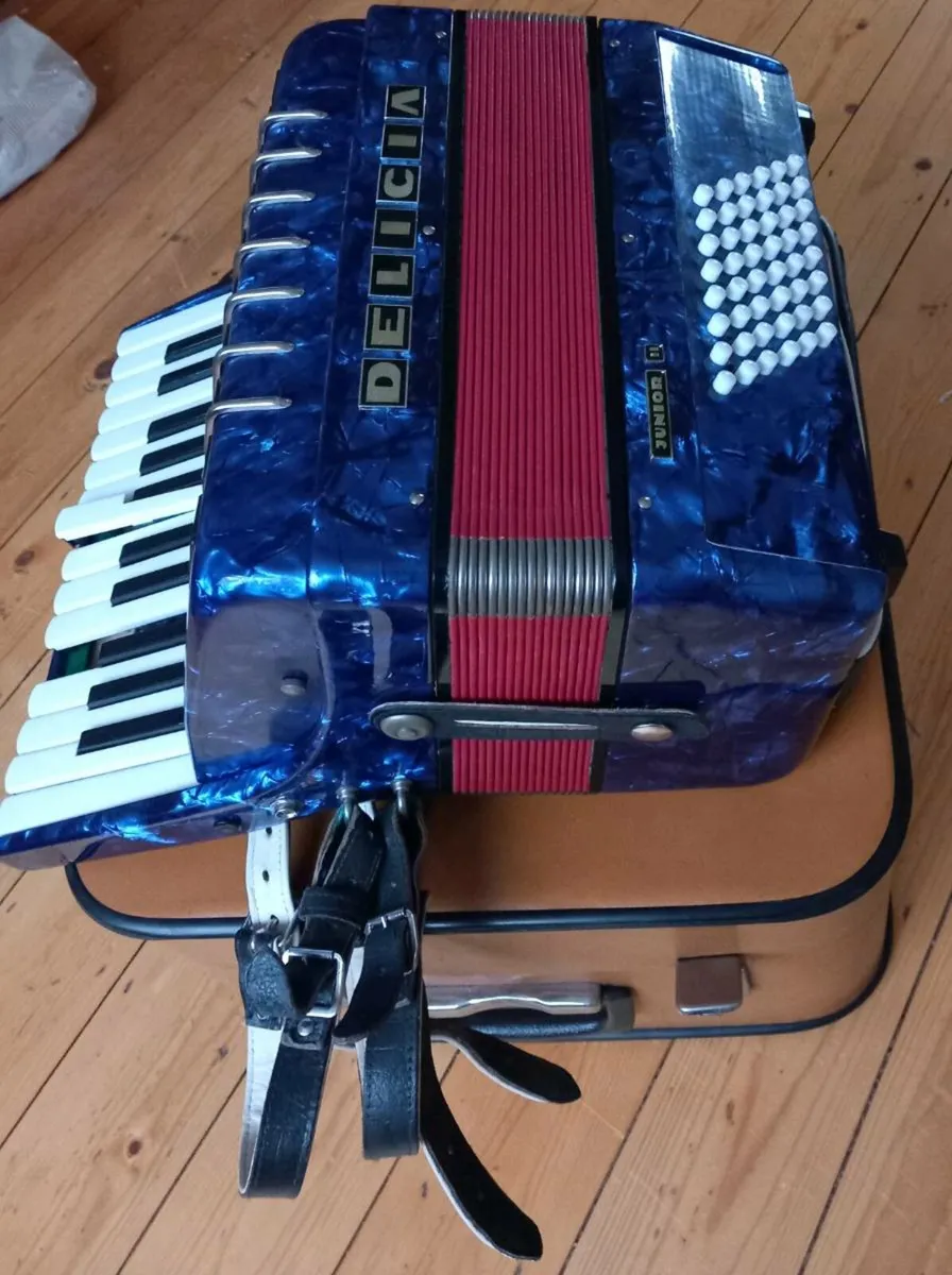 Delicia Junior Accordion II – Blue – 48 Bass + Str - Image 3