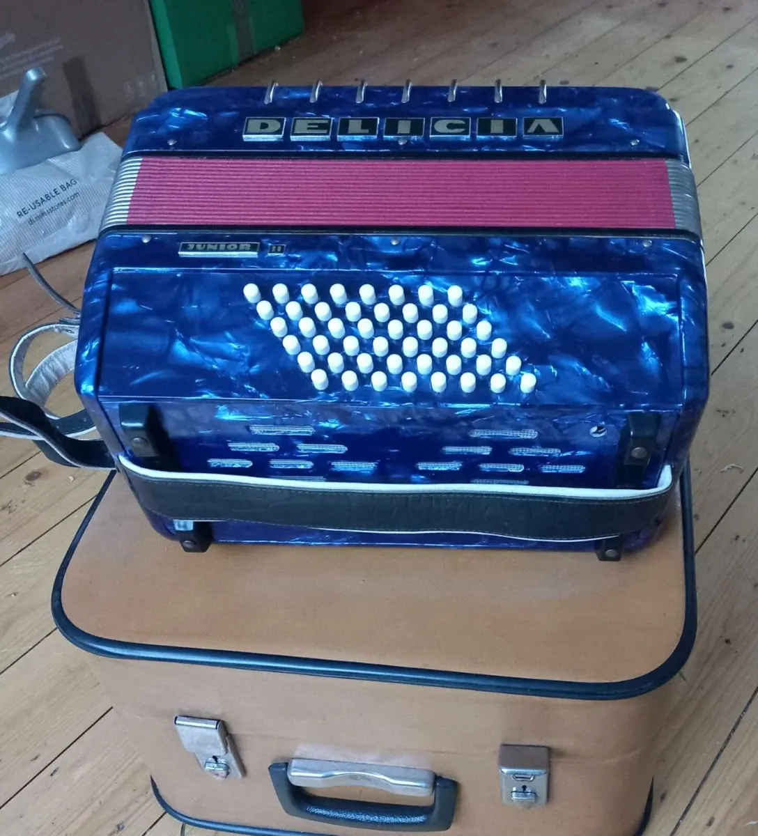 Delicia Junior Accordion II – Blue – 48 Bass + Str - Image 4