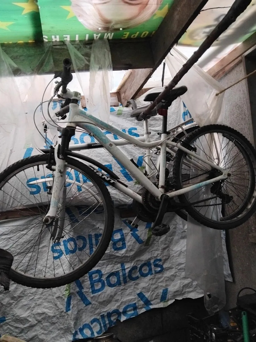 All for seal all bikes 40e each no time wasters - Image 4