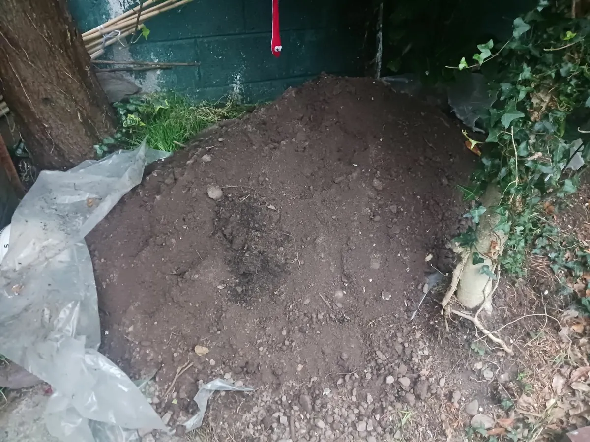Free Sand
