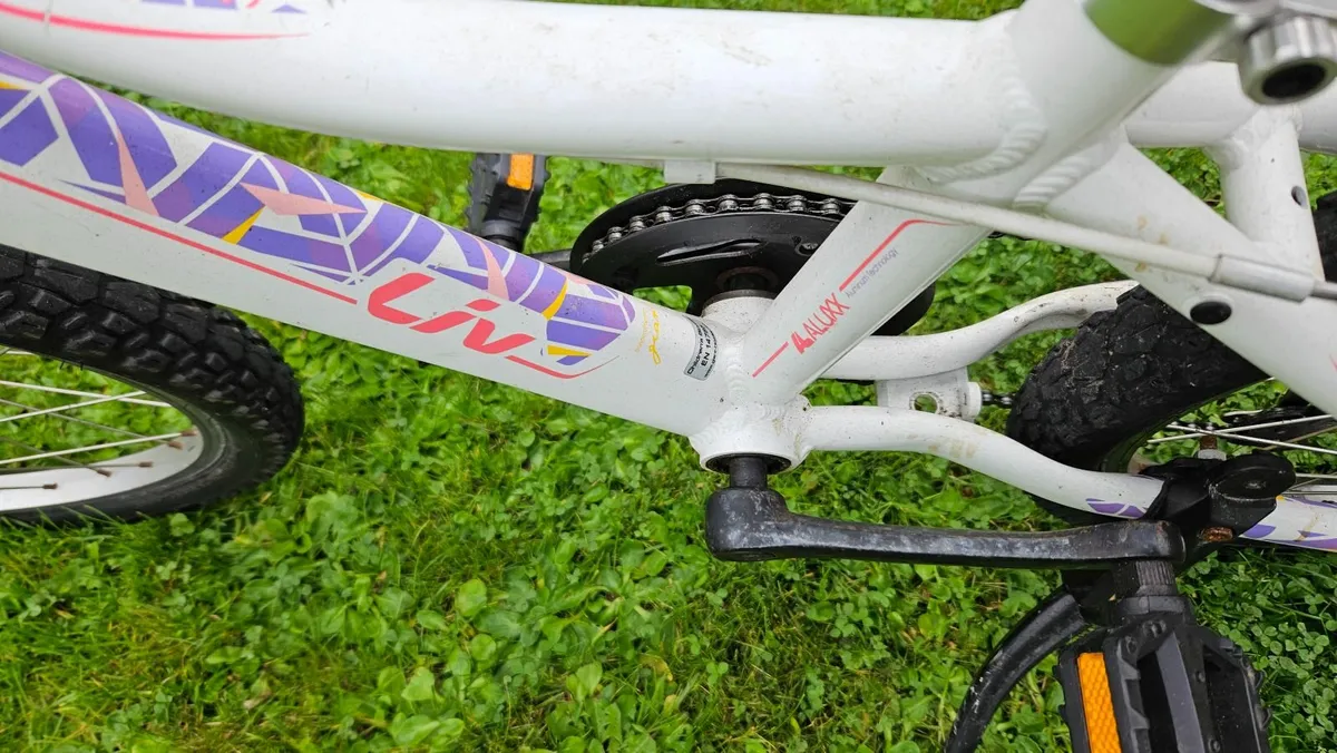 GIANT LIV BIKE - Image 3