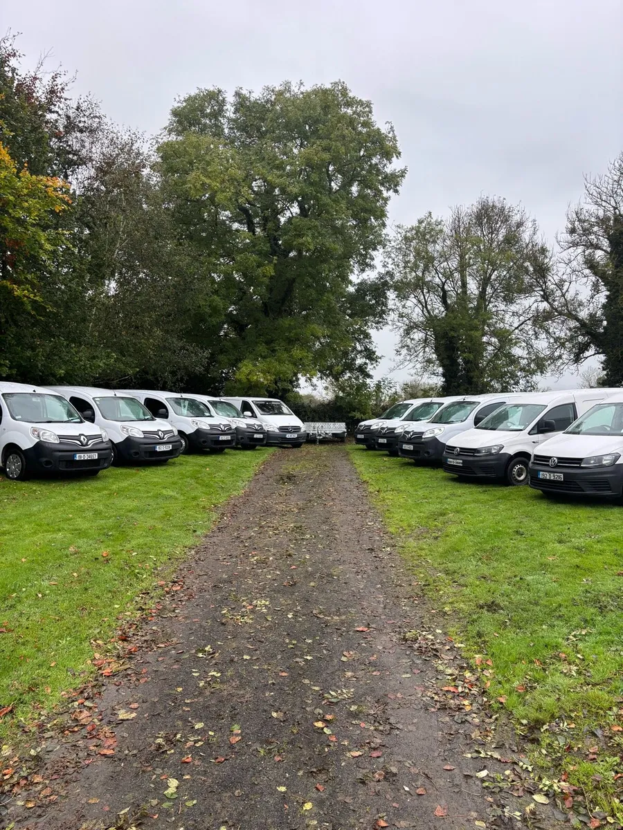 Selection of Caddy’s & Kangoos