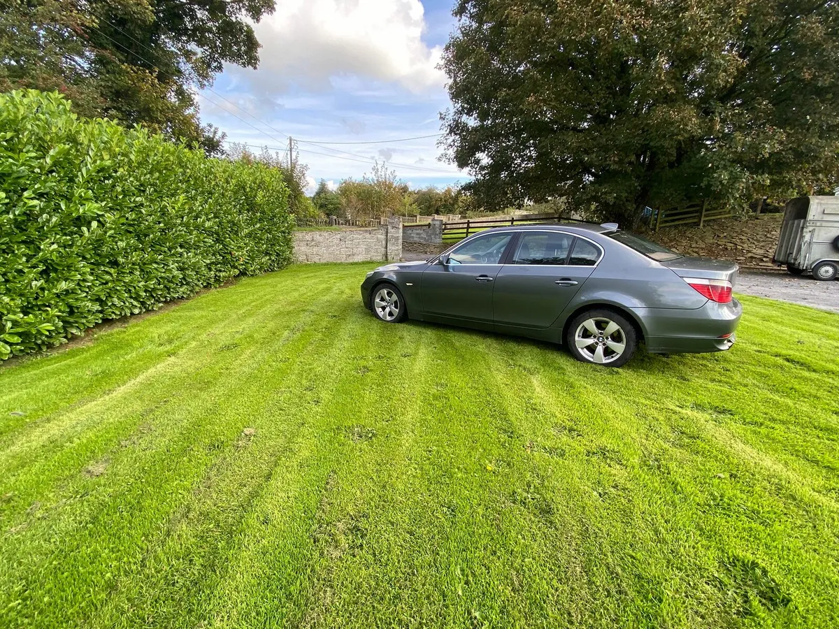 Bmw 520d m57 - Image 2
