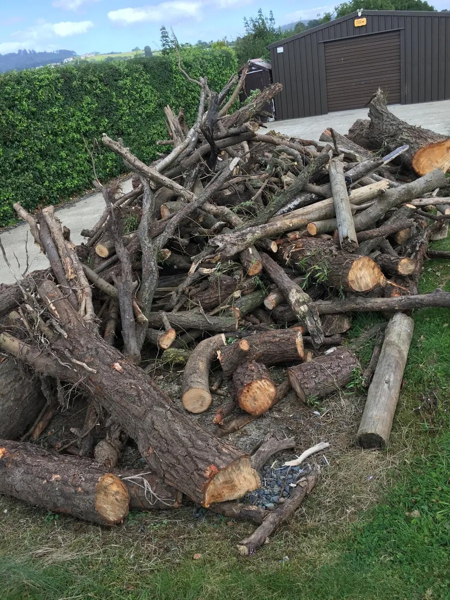 Firewood - Image 1