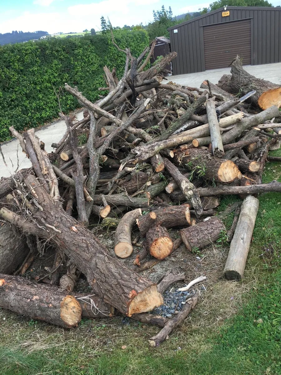 Firewood - Image 2