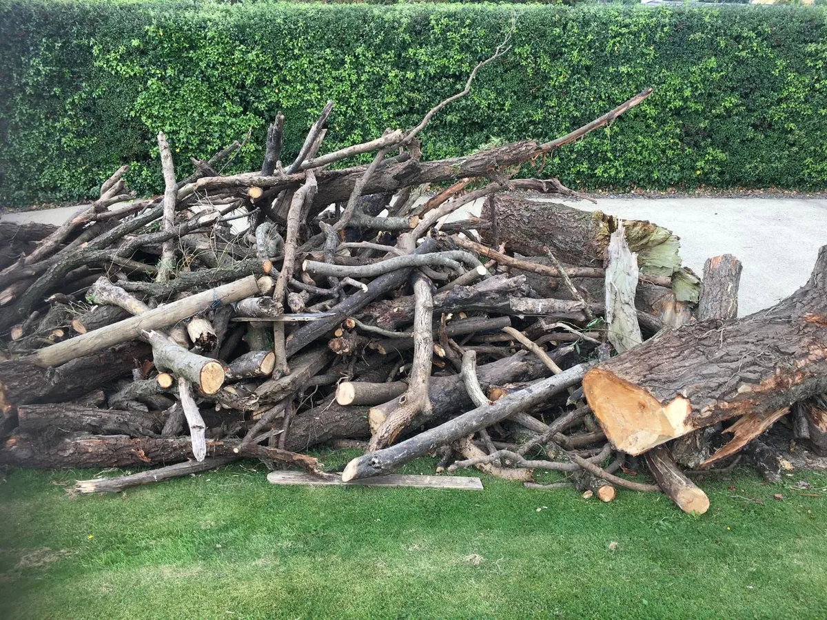 Firewood - Image 3